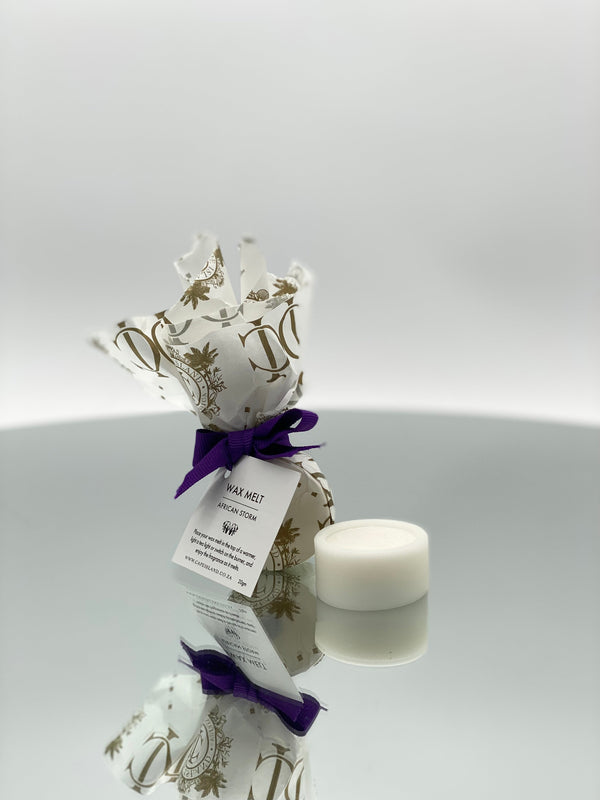 Single Wax Melt