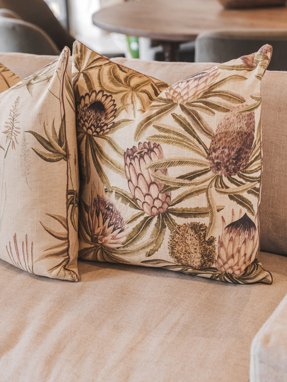 Protea King Scatter